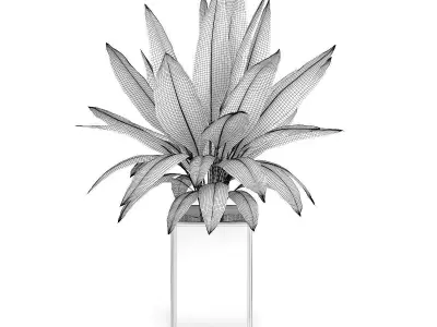 Plant in Square Blue Pot 3D model