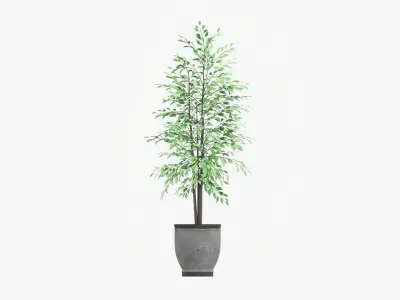 Decorative potted tree 02v2 3D model