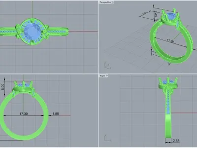 ring code 229 3D print model