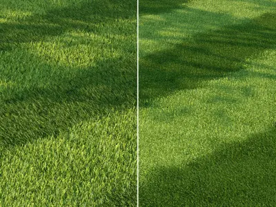 Mowed Lawn 3D model