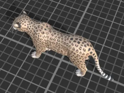 Leopard Low-poly 3D model buy
