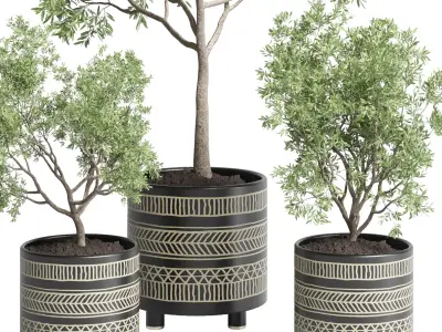 Collection Indoor plant 60 vase handmade pottery plant tree pot 3D model