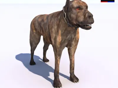 Vicious Dog 3D model