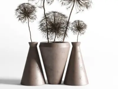 Dry berenklauw Low-poly 3D model