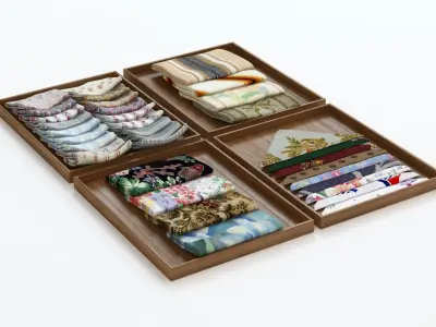 Laid Cloth Showcase 3D model