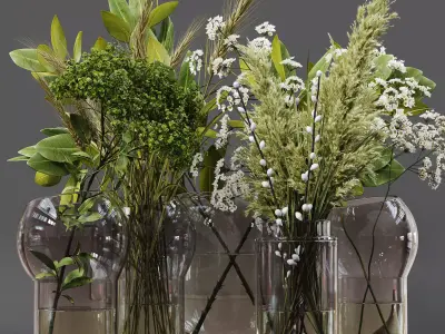 Collection Indoor Plants 06 3D model