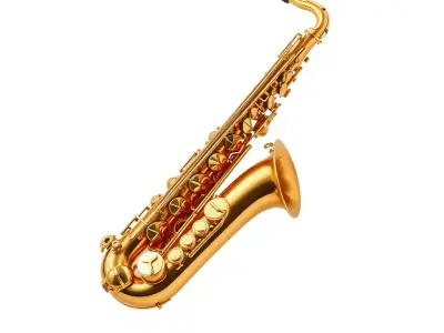 Golden Saxophone model pack Low-poly 3D model