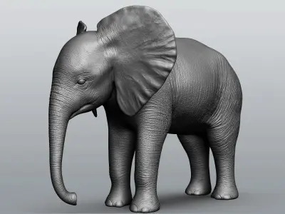 Wild Baby animal collection  5 animals 3D model