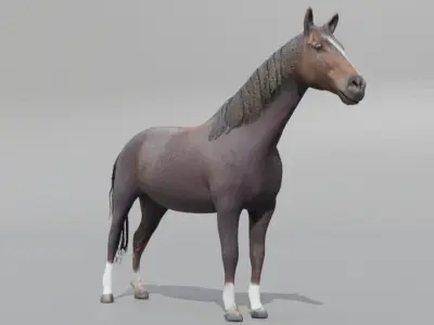 Realistic 3D Horse Model Low-poly 3D model