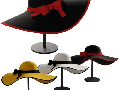 Woman hat 3 3D model