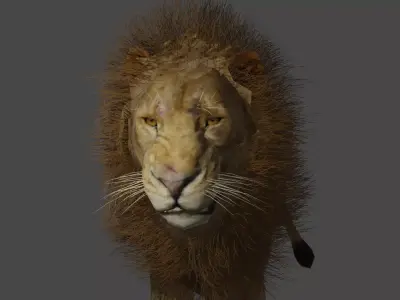 lion with full rig 3D model