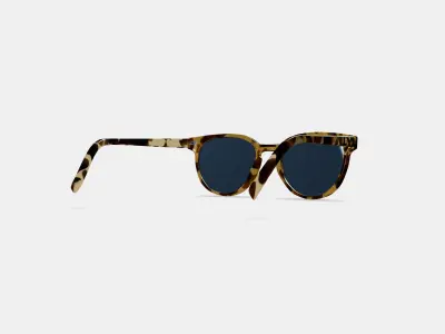 Wright Low Bridge Fit Sunglasses in Walnut Tortoise 3D model