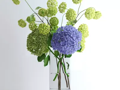 Hydrangeas and Viburnum  3D model