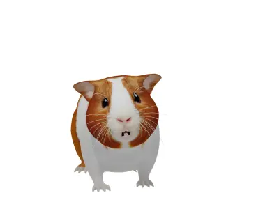 American Guinea Pig Low-poly 3D model