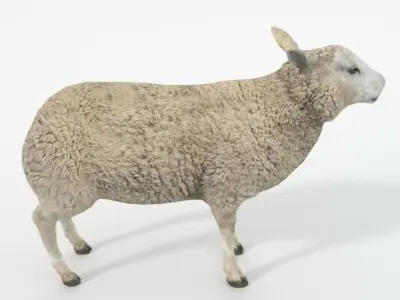Sheep Low-poly 3D model
