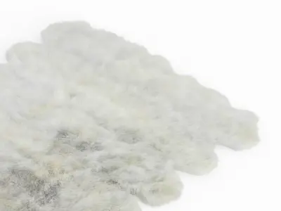 Shaggy Sheepskin Rug Ivory Color 3D model