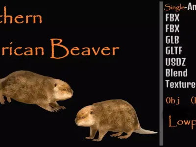 North American Beaver Low-poly 3D model
