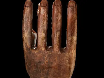 Wood Textured Hand  Free 3D model