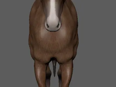horse 3D model 3D model purchase