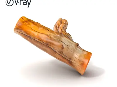 Driftwood Log Realistic Texture model pack Low-poly 3D model