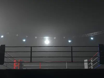 Boxing ring  3D model
