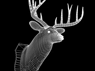 Mounted Deer Trophy 3D model