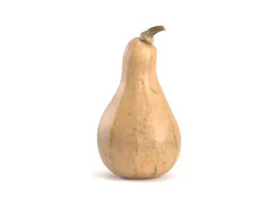 Decorative Pumpkin Gourd 2 3D model