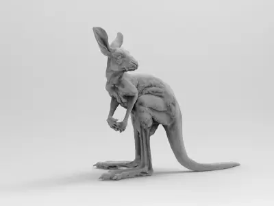 baby kangaroo 3D model