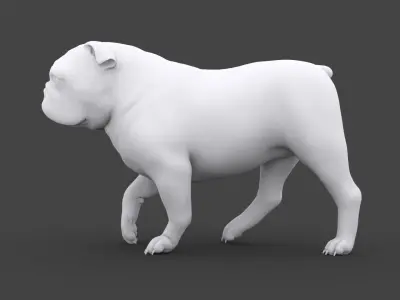 FEBU-003 Walking Animation 3D model