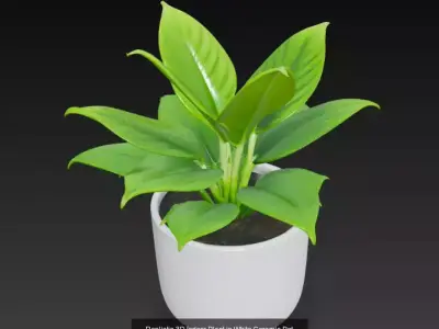 10 Plant Pots 3d Model 3D Model Collection