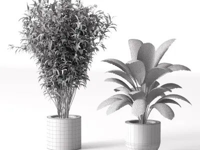Indoor Plant Set 02 3D model get