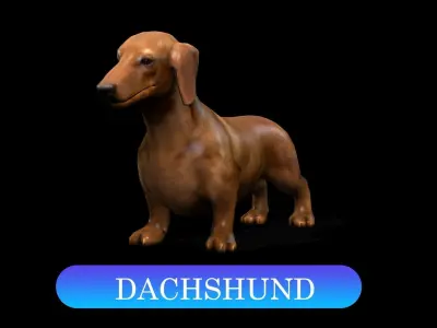 13 Dogs Pack 3D Model Collection Low-poly 3D model