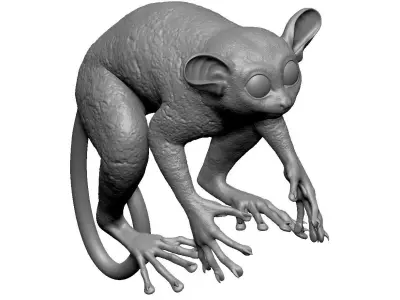 Tarsier Symmetrical 3D model