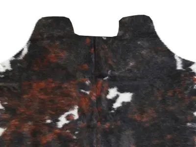 Tricolor Cowhide Rug A27079 3D model