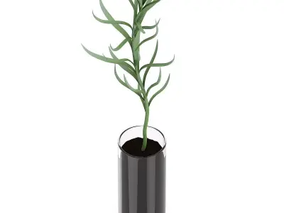 Plant in Glass Pot 3D model