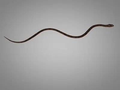 Snake Cobra Low-poly 3D model