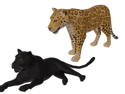 Jaguar 3D model