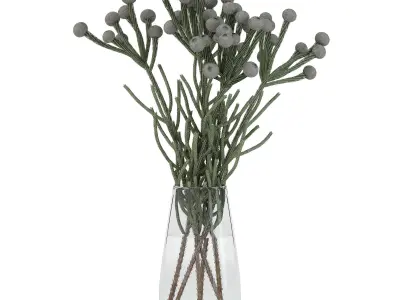 Brunia flowers in vase 3D model