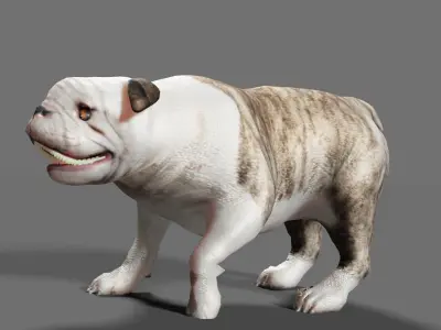 BULLDOG ANIMATED Low-poly 3D model