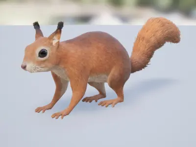 Squirrel Low-poly 3D model shop