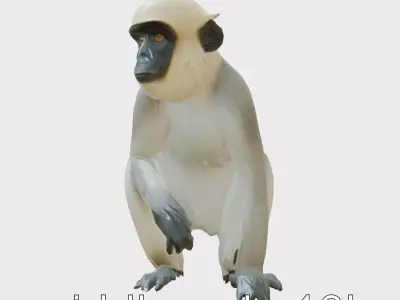 Silvery Gibbon 3D Model with Graceful Movements Low-poly 3D model