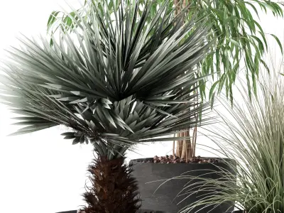 Plants collection 135 3D model