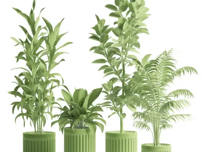 Indoor Plants Pack 89 3D model