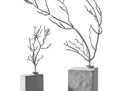 Bouquet of dried branches Glass square vase with a branch 3D model