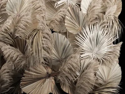 Wedding Decor Arch Wall Dried Flowers Pampas Grass 3D model