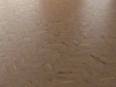 Parquet Oak Vergne Wild Wood set 6 3D model