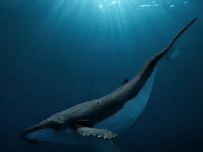 Humpback Whale 3D Model  Arnold Rendered Film-Quality Asset 3D model