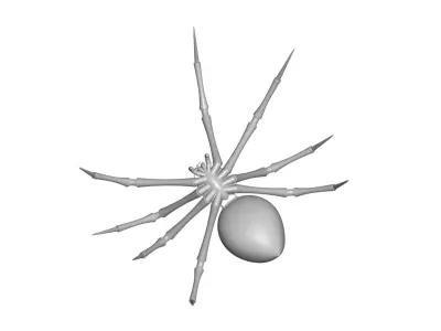 widow spider 3D model