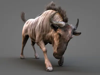 Wildebeest XGEN CORE RIGGED 3D model