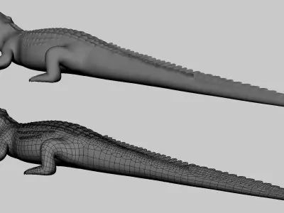 Baby Crocodile Low-poly 3D model